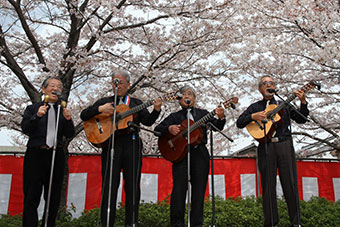 2014年　瑞応寺花まつり